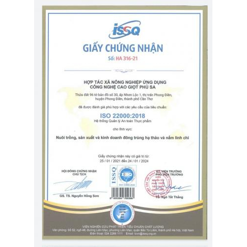 Các loại giấy phép