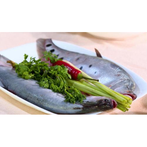 Nguồn đạm chất lượng cao